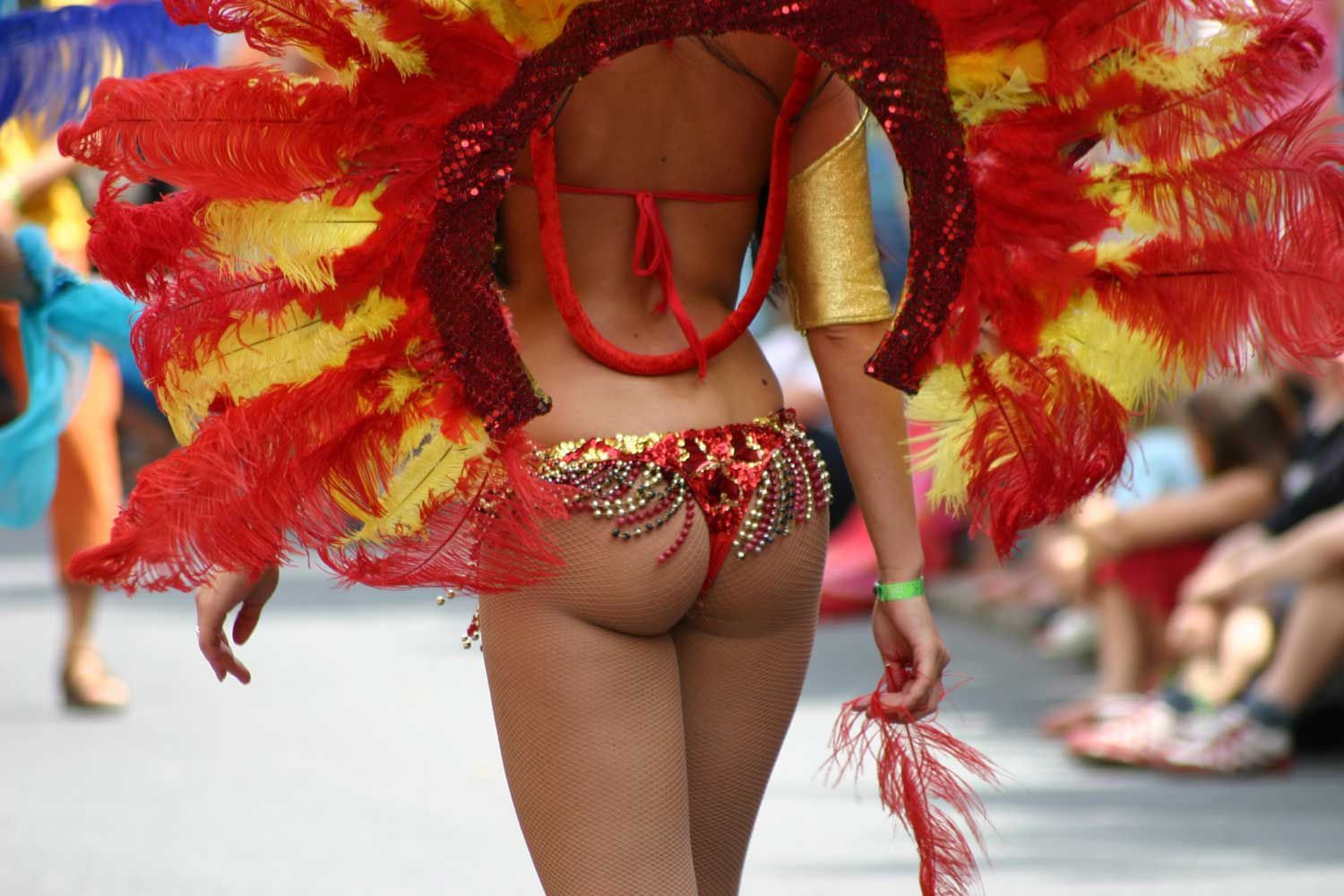 Carnaval 2011 în Brazilia