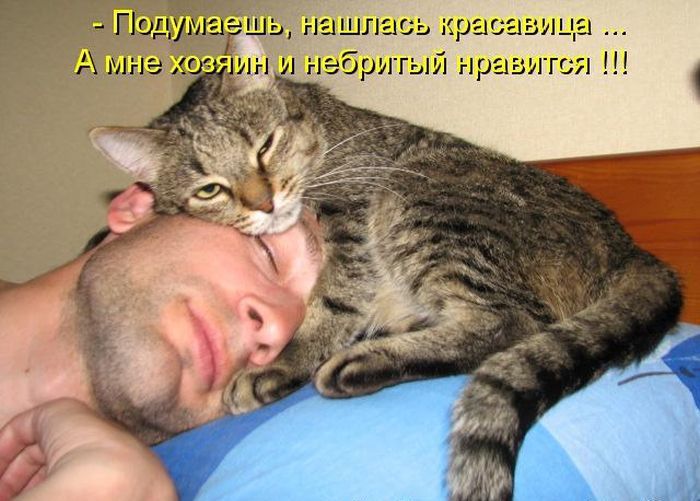 Лучшие котоматрицы недели
