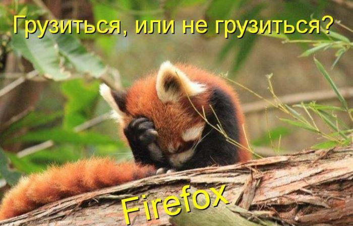 Лучшие котоматрицы недели