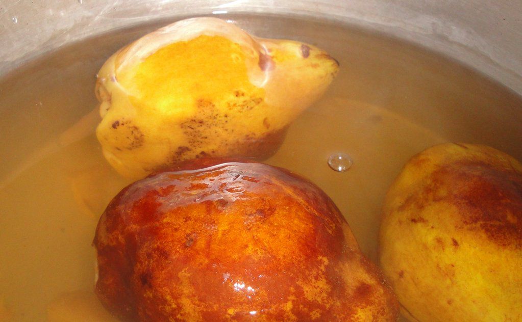 membrillo membrillo