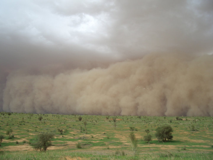 Самум - песчаная буря