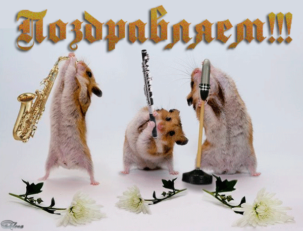 http://i3.imageban.ru/out/2012/05/31/fb841b8f53d1bd3ea65f4a0885ab45a7.gif