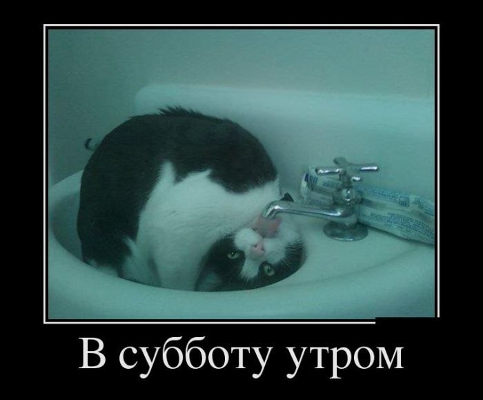 http://i3.imageban.ru/out/2013/07/17/abf50b9f305382edca0ad9d36fc10c4e.jpg