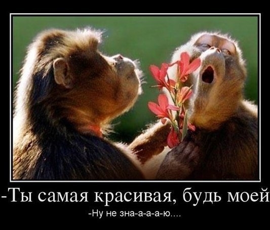 http://i3.imageban.ru/out/2013/07/21/917d2b09b2b0a2804a2cd7d417ceba34.jpg