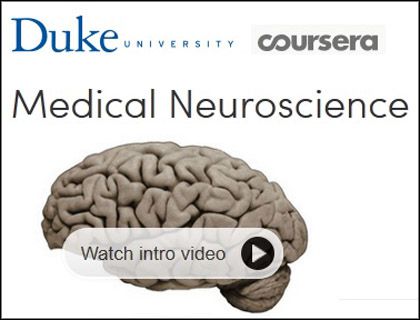 Coursera - Medical Neuroscience Coursera - Medical Neuroscience