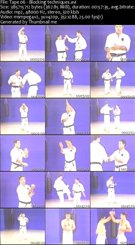 Higaonna - Mastering Traditional Okinawan Goju-Ryu Karate Series Higaonna - Mastering Traditional Okinawan Goju-Ryu Karate Series