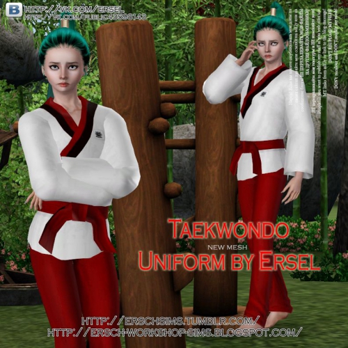 TAEKWONDO UNIFORM BY ERSEL
