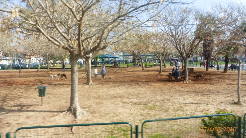 "Фантазия" в Средиземноморском круизе в феврале 2016 года