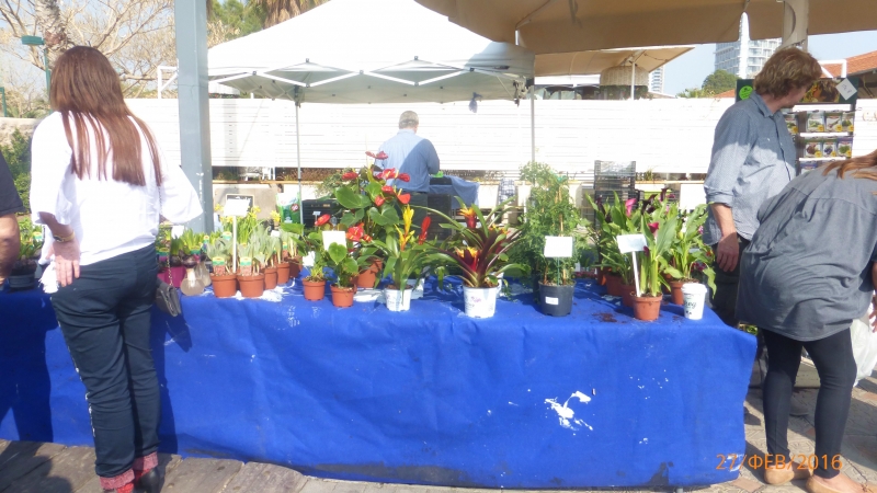 "Фантазия" в Средиземноморском круизе в феврале 2016 года