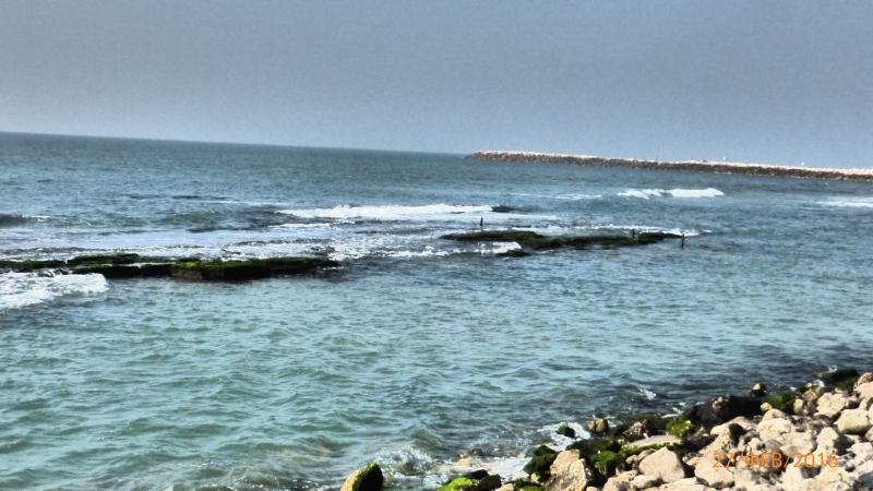 "Фантазия" в Средиземноморском круизе в феврале 2016 года