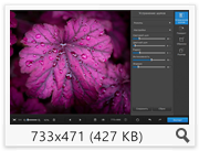 Movavi Photo DeNoise 1.0.0 (2016) Multi/Rus Movavi Photo DeNoise 1.0.0 (2016) Multi/Rus