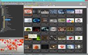 FastStone Image Viewer 6.0 RePack (& Portable) by KpoJIuK (x86-x64) (2016) Multi/Rus FastStone Image Viewer 6.0 RePack (& Portable) by KpoJIuK (x86-x64) (2016) Multi/Rus