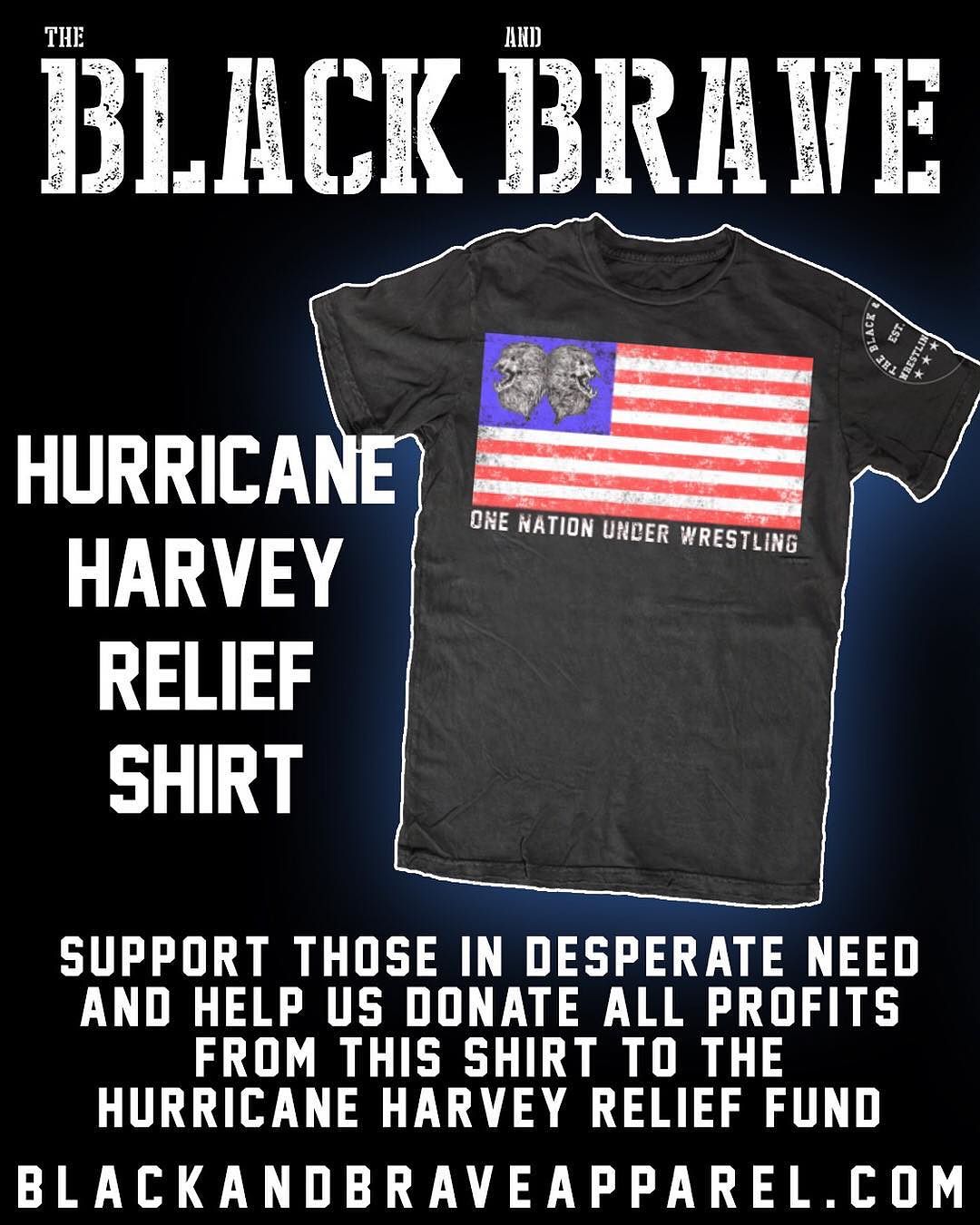 Сэт Роллинс и его кампания помощи пострадавшим от урагана Харви