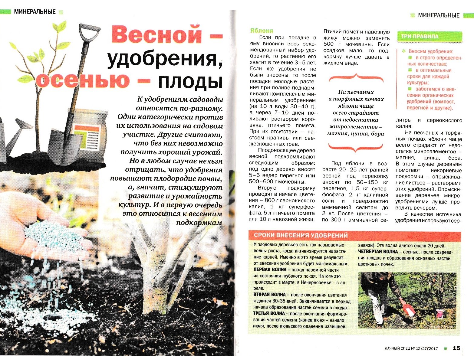Размещение и Посадка Плодовых Деревьев на Дачном Участке и Удобрение из хлеба для. - t