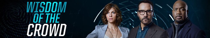 Wisdom of the Crowd S01 720p HDTV X264-DIMENSION Wisdom of the Crowd S01 720p HDTV X264-DIMENSION