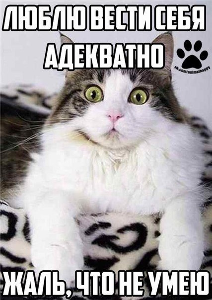 Сборка № 284 Сборка № 284