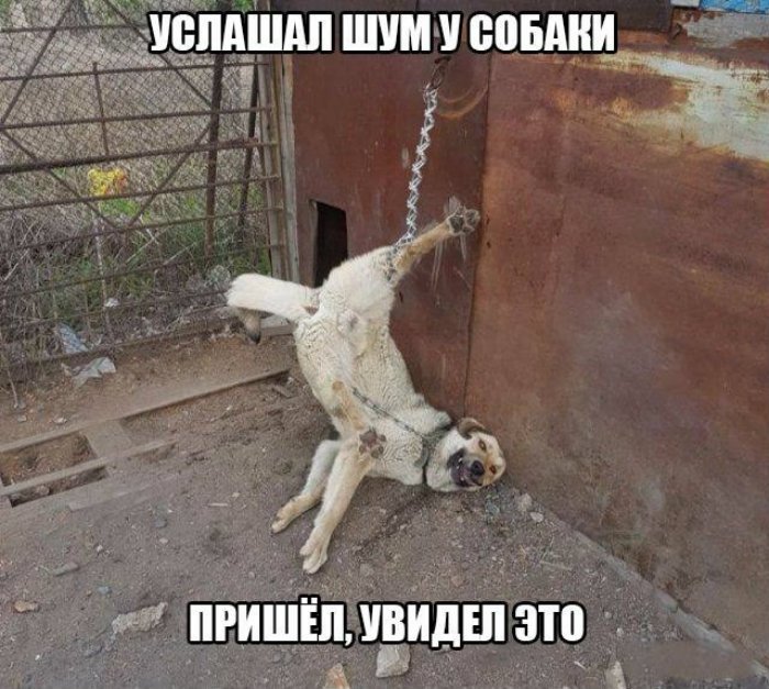 Сборка № 284 Сборка № 284