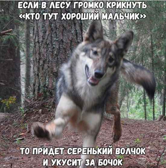 Сборка № 287 Сборка № 287