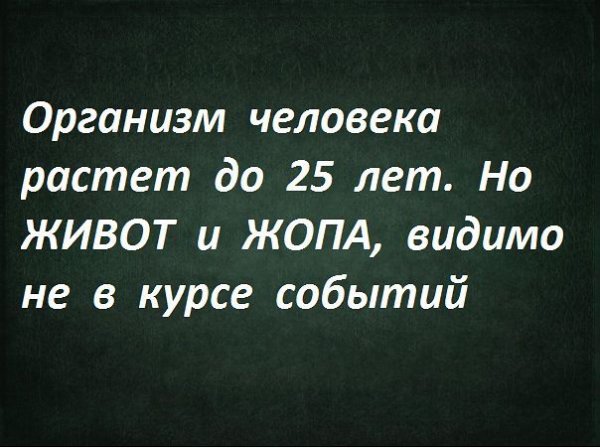 Сборка № 287 Сборка № 287