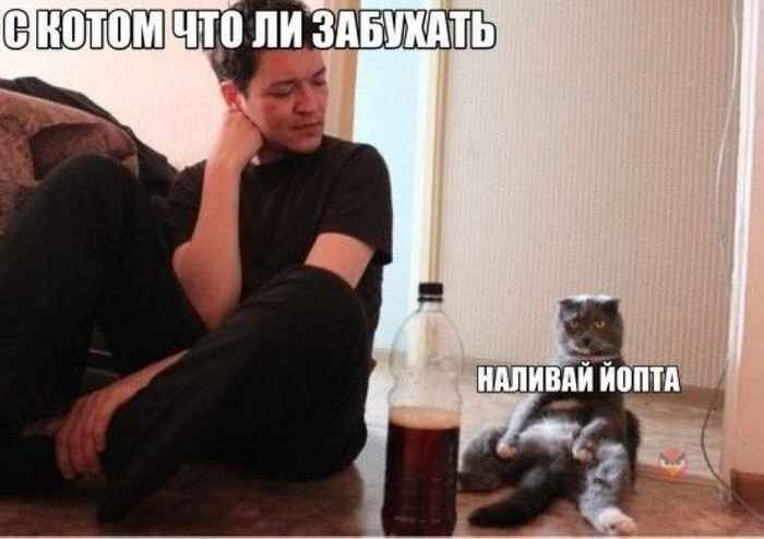Сборка № 287 Сборка № 287