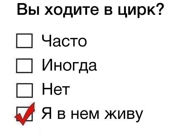 Сборка № 293 Сборка № 293
