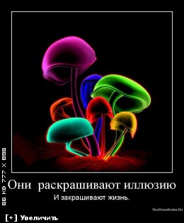 http://i3.imageban.ru/thumbs/2012.12.10/3b5ec01fe58a3f5be1a063807a0ddf92.jpg