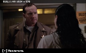 ������ / Hard Rain (1998) WEB-DLRip-AVC | D | Open Matte | 3.20 GB