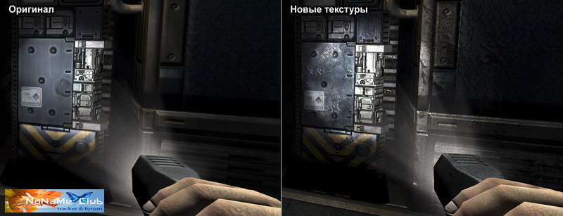 3950535.jpg