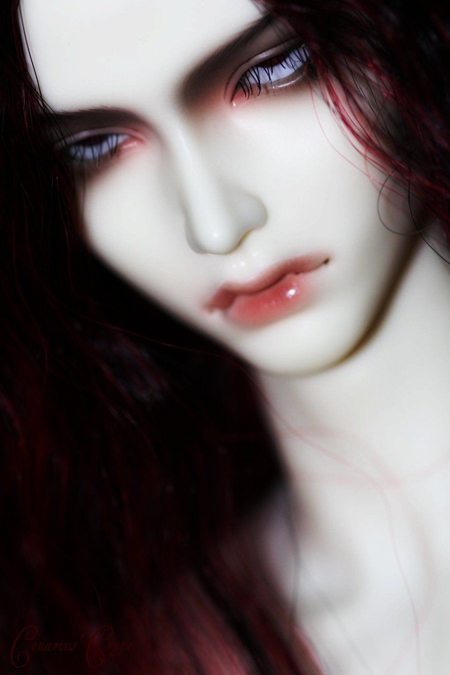 Red_Passion_8_by_Cenarius99.jpg