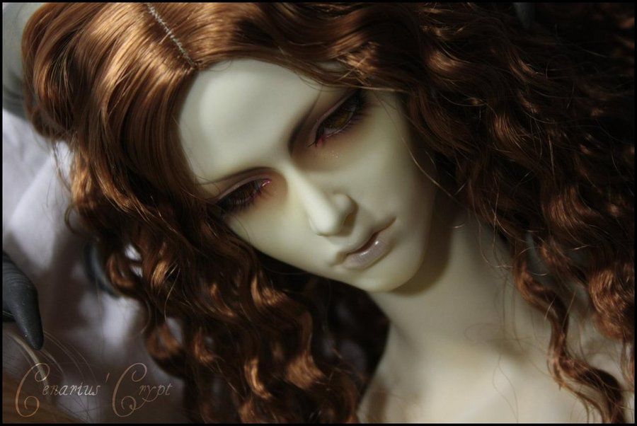 A_saturday_of_photos_10_by_Cenarius99.jpg
