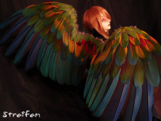 Scarlet_sunset_by_syrinxfox.jpg