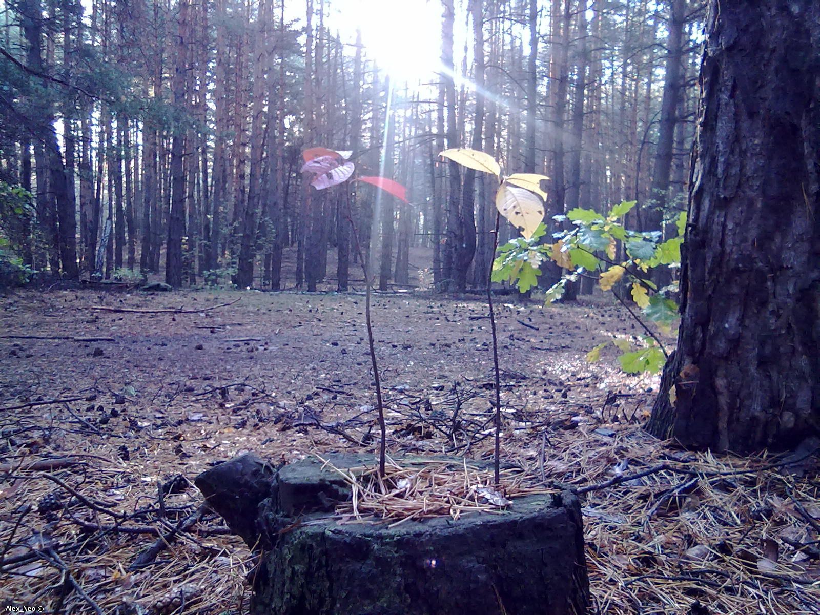 19092010074.jpg