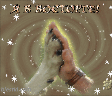 Собака друг человека