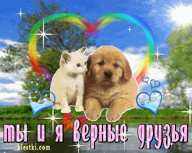Открытка верные друзья