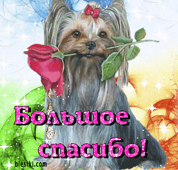 Огромнейшее спасибо