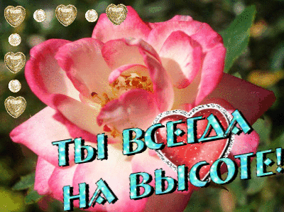 Открытки вы классные