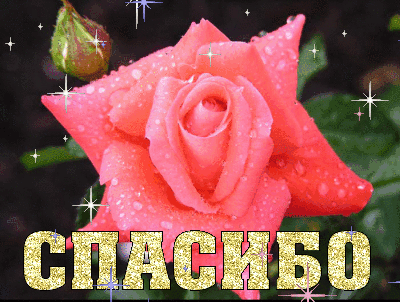 Спасибо видеоролик