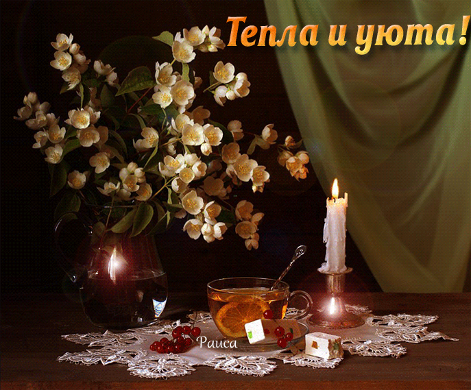 Цветы вечер