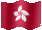 Flag of hong kong