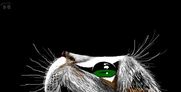 l_cad2e22f.png