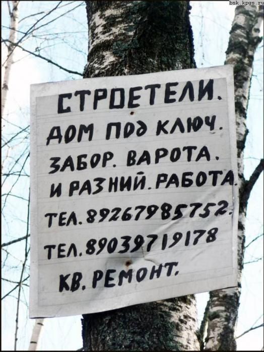 podborl2.jpg