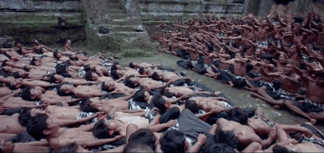 1f972ff9_1416_c723.gif