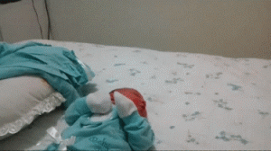 924cd04548b7598d1a82d6c31de2987a.gif