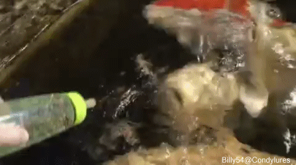 6ab57e744ff66b14e076ba645be42c3c.gif