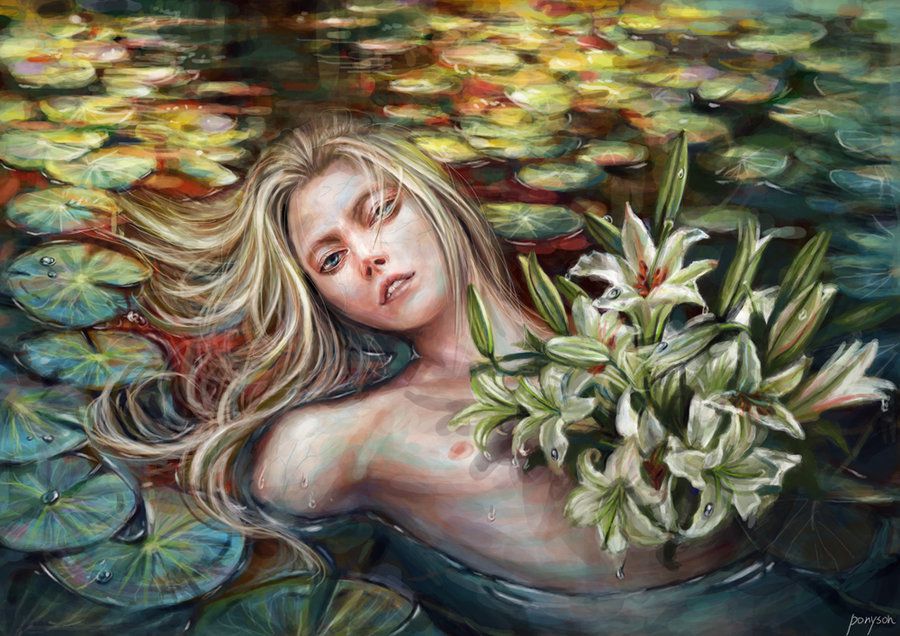 lily_water_lily_by_ponyson-d3fexqd.jpg