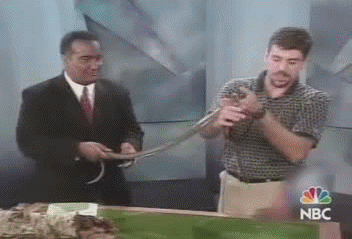 3e90cc7b31098c531d05b4062f0b7ba9.gif