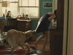 rape_dog.gif
