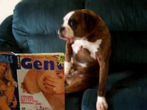doggypron19.gif