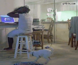6d99f49c_7336_cfde.gif