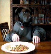 hondeet.gif